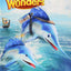 Reading Wonders Literature Anthology Grade 2 (ELEMENTARY CORE READING)