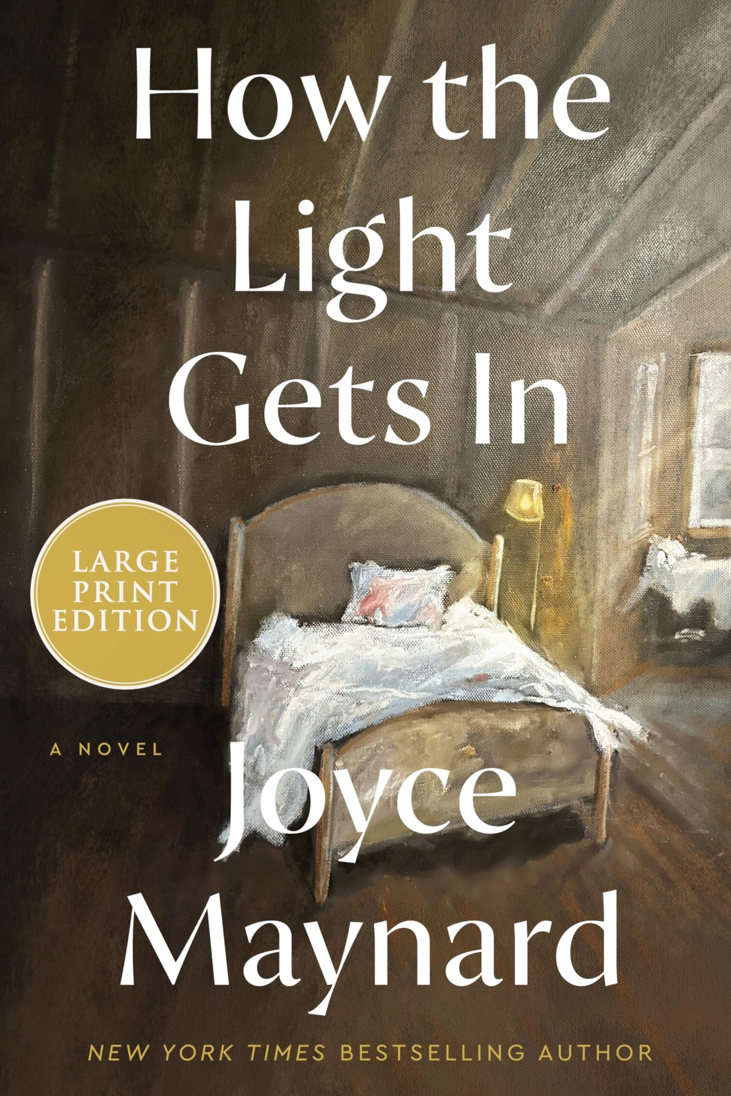 How the Light Gets In: A Novel