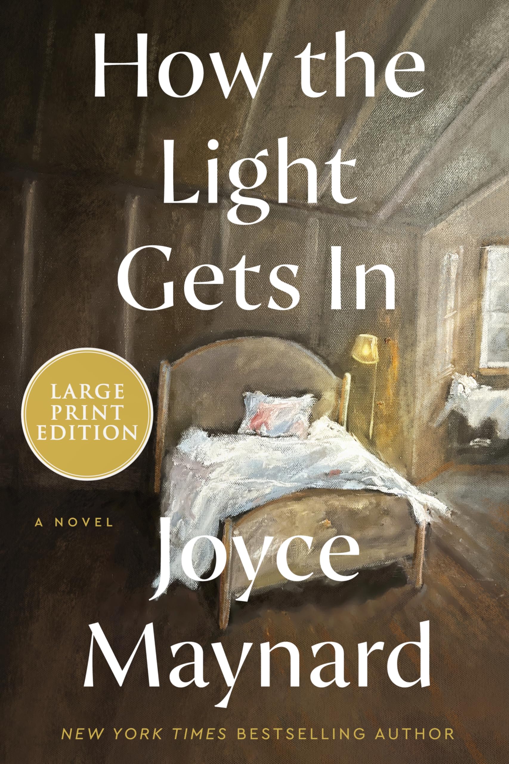 How the Light Gets In: A Novel