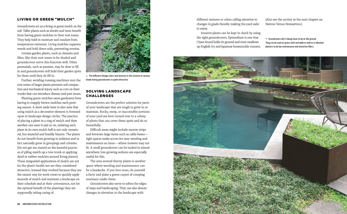 Groundcover Revolution: How to use sustainable, low-maintenance, low-water groundcovers to replace your turf - 40 alternative choices for: - No Mowing. - No fertilizing. - No pesticides. - No problem!