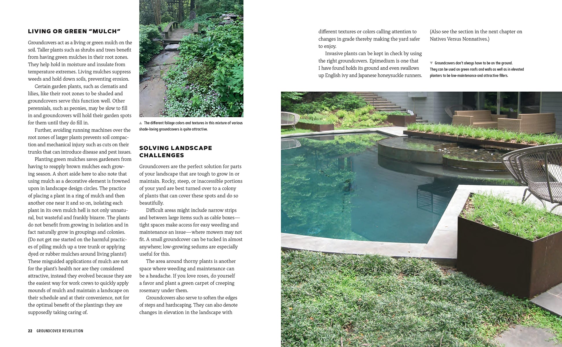 Groundcover Revolution: How to use sustainable, low-maintenance, low-water groundcovers to replace your turf - 40 alternative choices for: - No Mowing. - No fertilizing. - No pesticides. - No problem!
