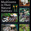 Psilocybin Mushrooms in Their Natural Habitats: A Guide to the History, Identification, and Use of Psychoactive Fungi