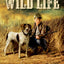 Wild Life