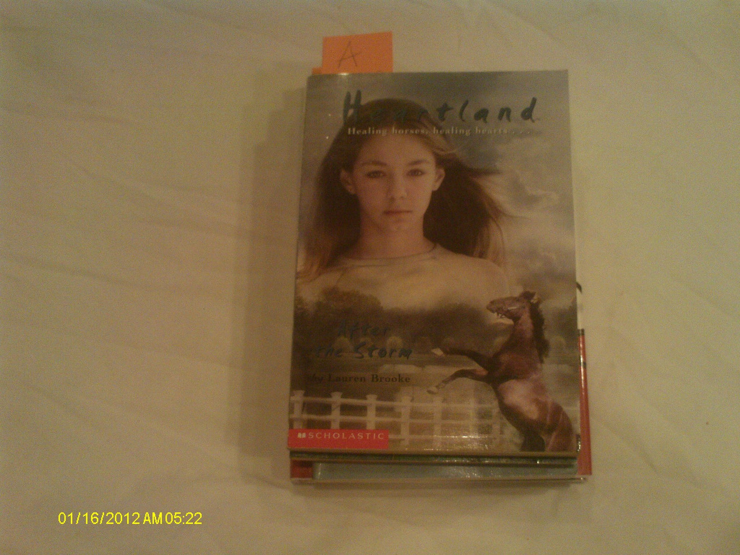 After the Storm (Heartland #2)
