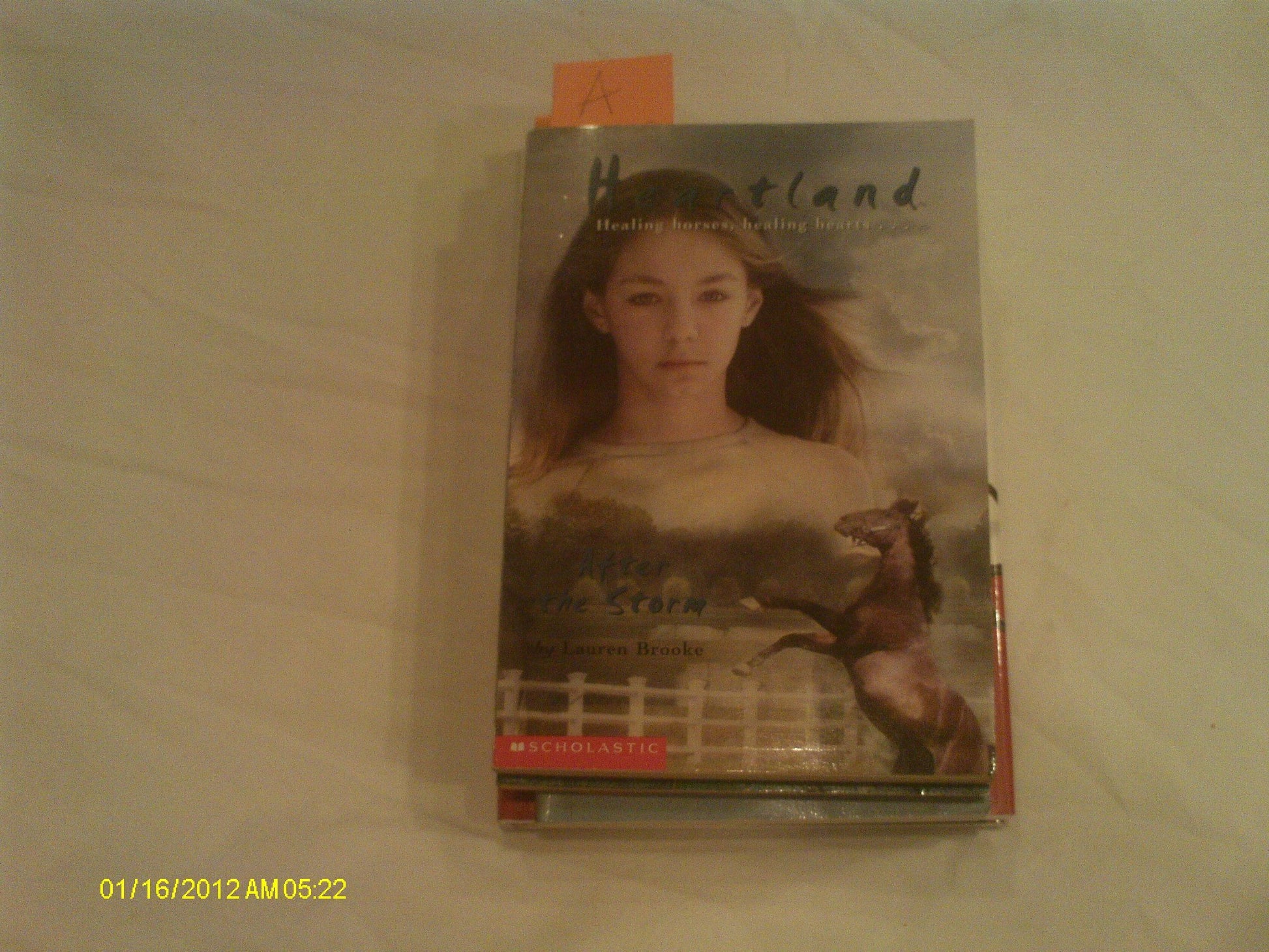 After the Storm (Heartland #2)