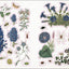 The Botanist's Sticker Anthology
