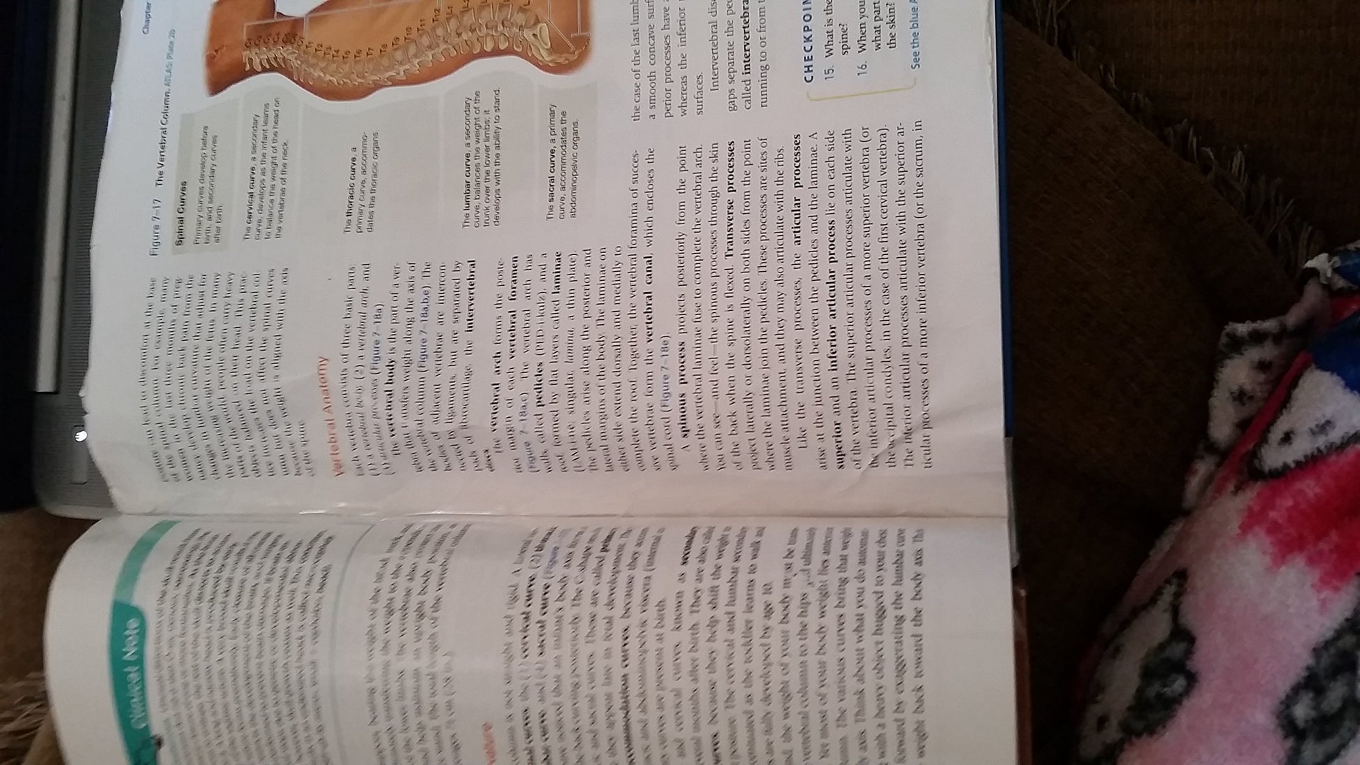 Fundamentals of Anatomy & Physiology (10th Edition)