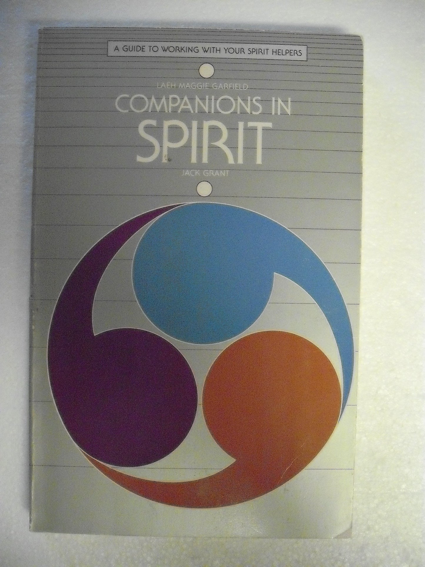 Companions in Spirit by Garfield, Laeh M.