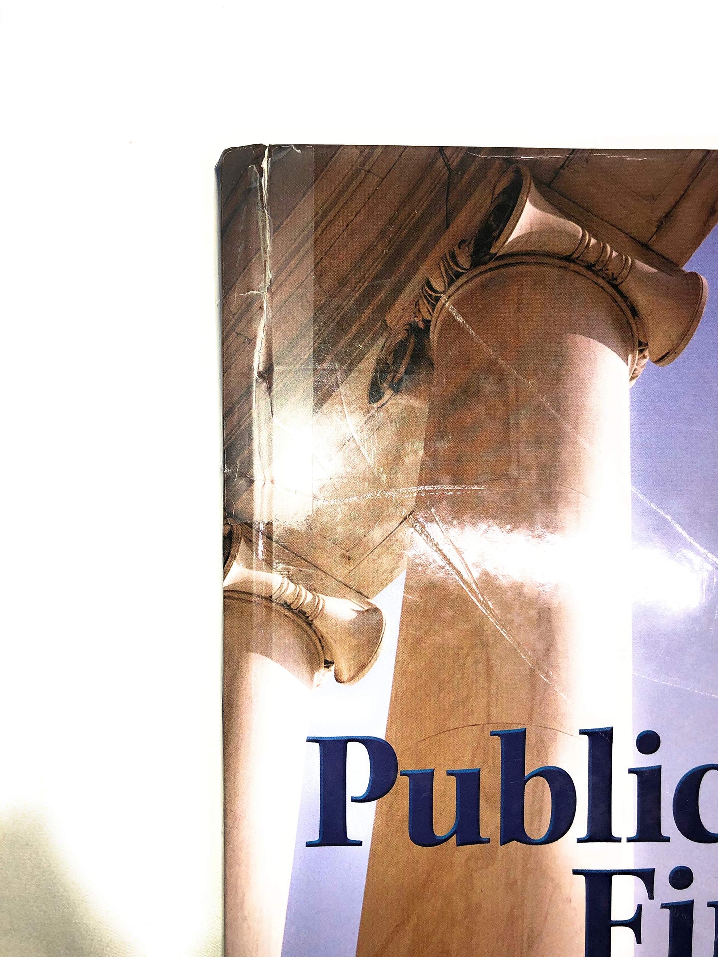 Public Finance (The McGraw-Hill Series in Economics)