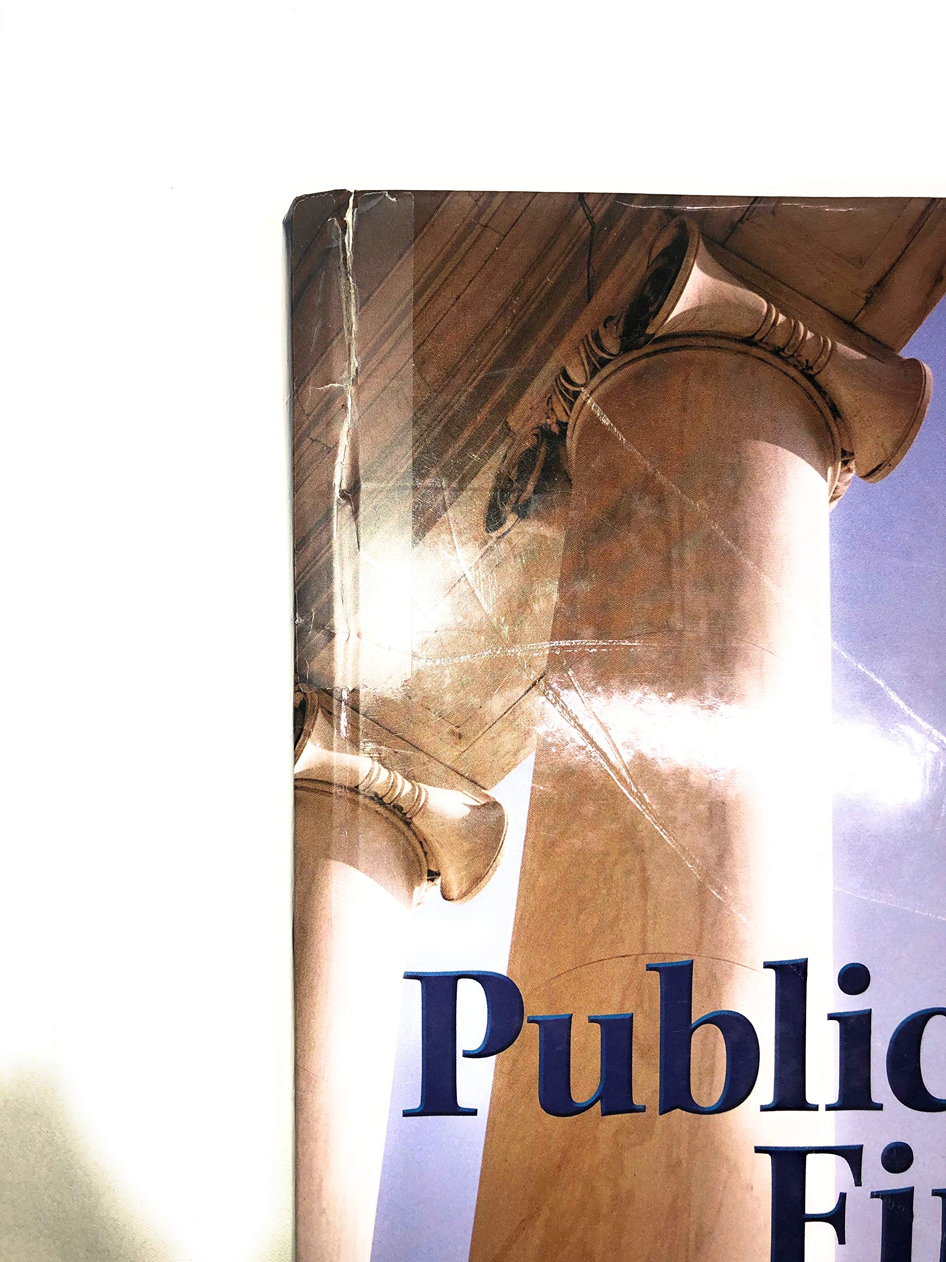 Public Finance (The McGraw-Hill Series in Economics)