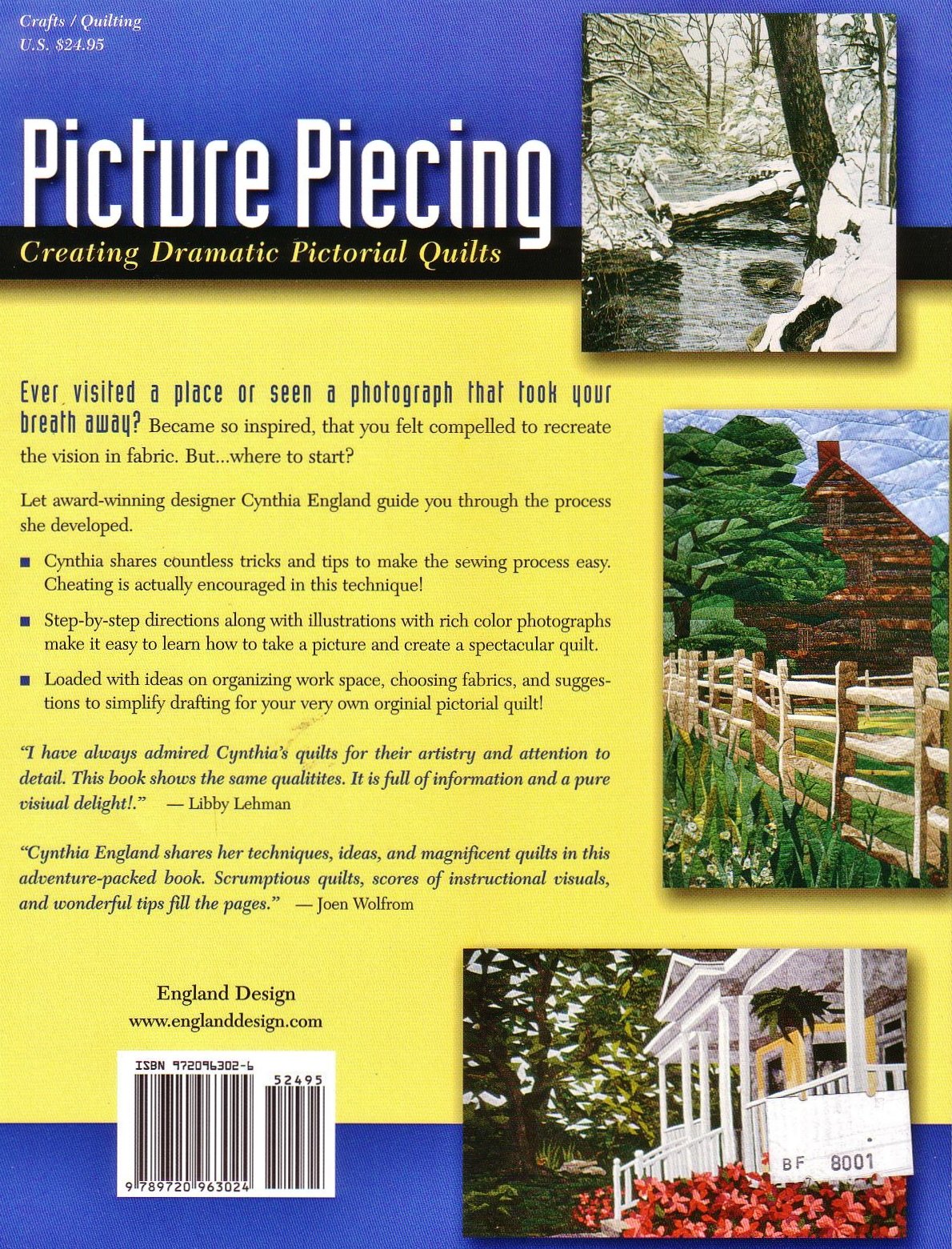 Picture Piecing: Creating Dramatic Pictorial Quilts