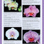 Home Gardener's Orchids: Selecting, Growing, Displaying, Improving and Maintaining Orchids (Creative Homeowner) (Specialist Guide)