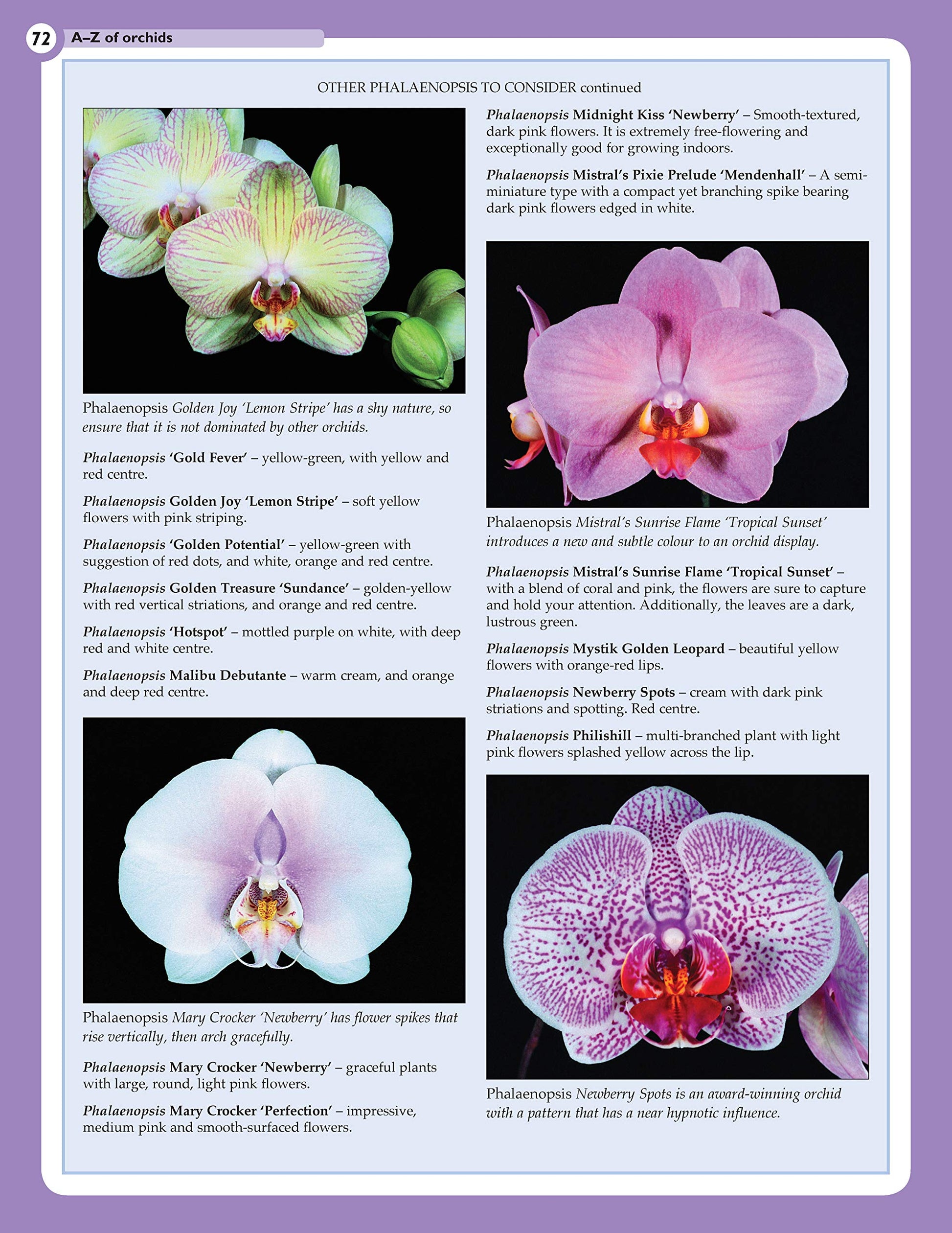 Home Gardener's Orchids: Selecting, Growing, Displaying, Improving and Maintaining Orchids (Creative Homeowner) (Specialist Guide)