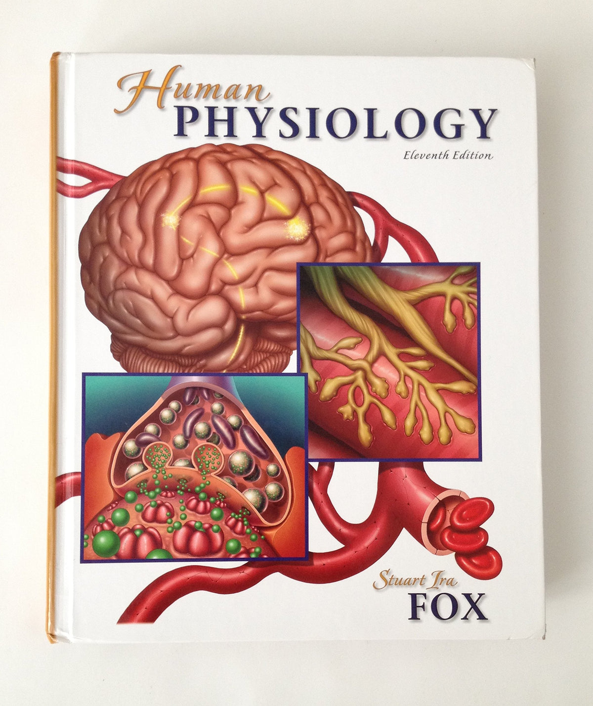 Human Physiology