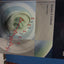 Essentials of Audiology by Gelfand, Stanley A.