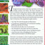 Edible and Medicinal Plants of the Rockies