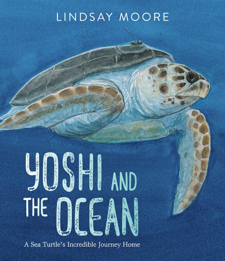 Yoshi and the Ocean: A Sea Turtle's Incredible Journey Home - A Gorgeous Picture Book about Patience and Nature for Children