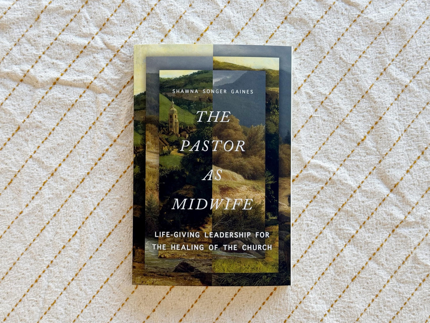 The Pastor as Midwife: Life-Giving Leadership for the Healing of the Church