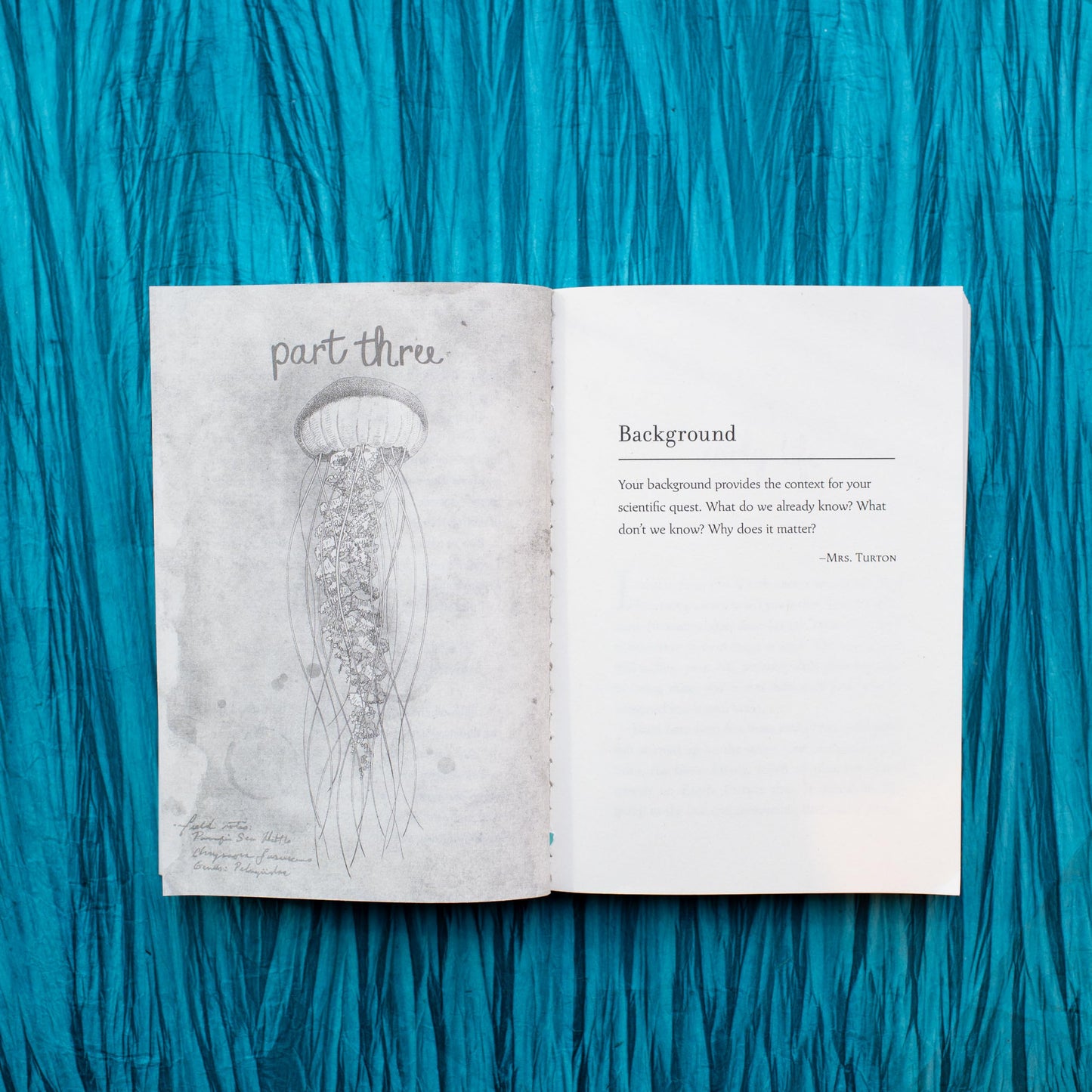 The Thing About Jellyfish (National Book Award Finalist) by