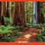 Hike the Parks: Redwood National & State Parks: Best Day Hikes, Walks, and Sights (Hike the Parks Series)