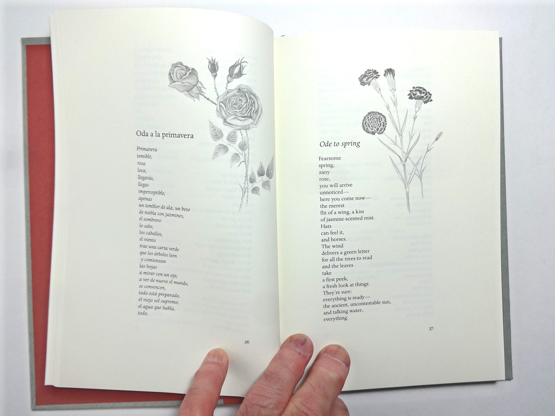 Odes to Opposites: Bilingual Edition