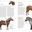 The Horse Encyclopedia (DK Pet Encyclopedias)