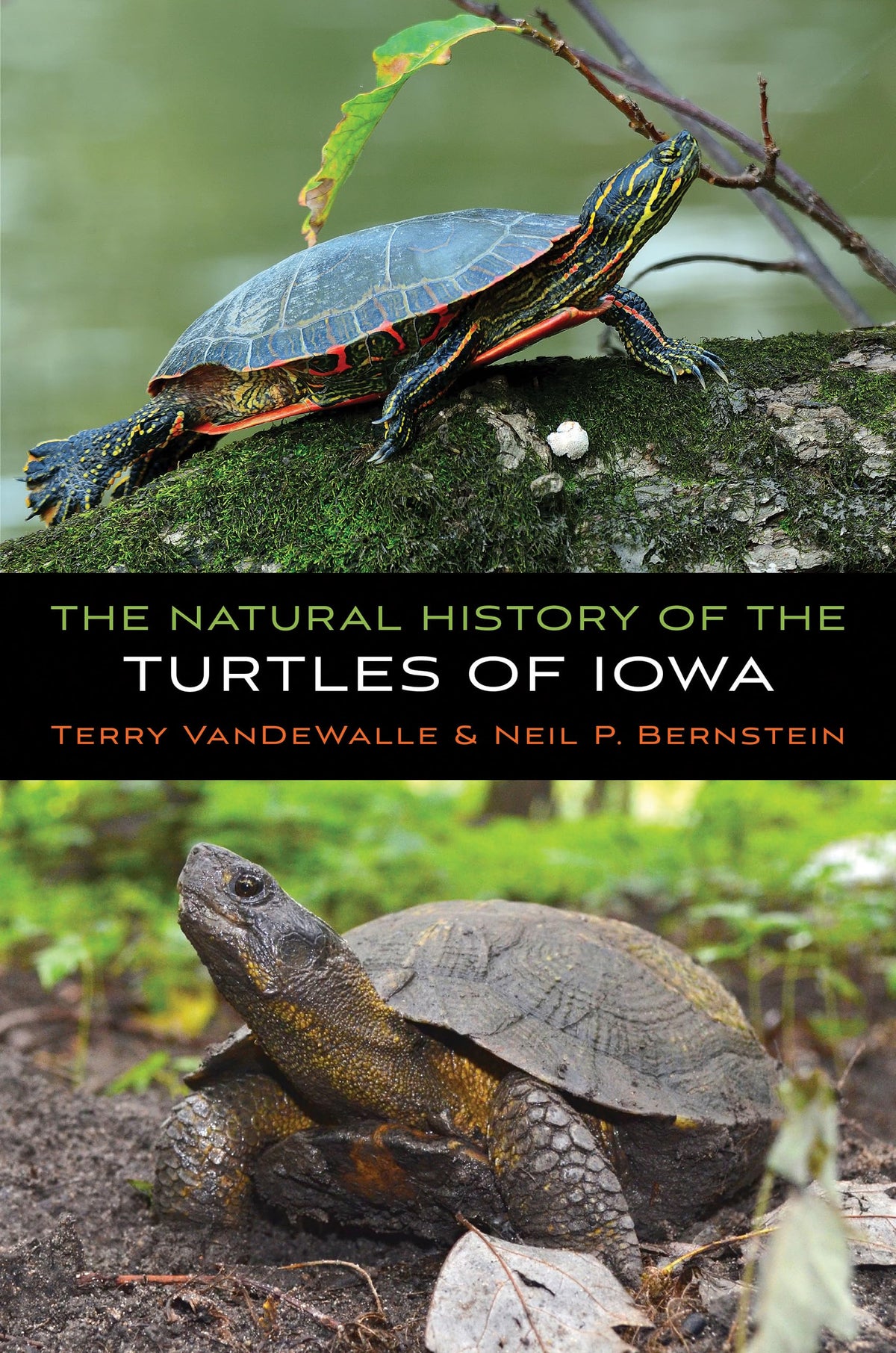 The Natural History of the Turtles of Iowa (Bur Oak Guide)