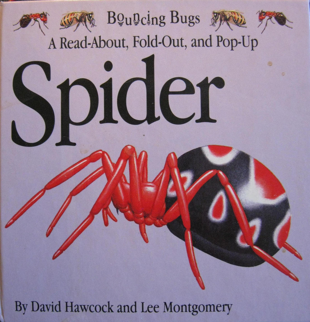 SPIDER (Bouncing Bugs)