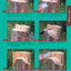 Chainsaw Carving a Bear: A Complete Step-By-Step Guide (Fox Chapel Publishing) Beginner-Friendly Details and Easy-to-Follow Illustrated Instructions for How to Carve Realistic and Caricature Bears