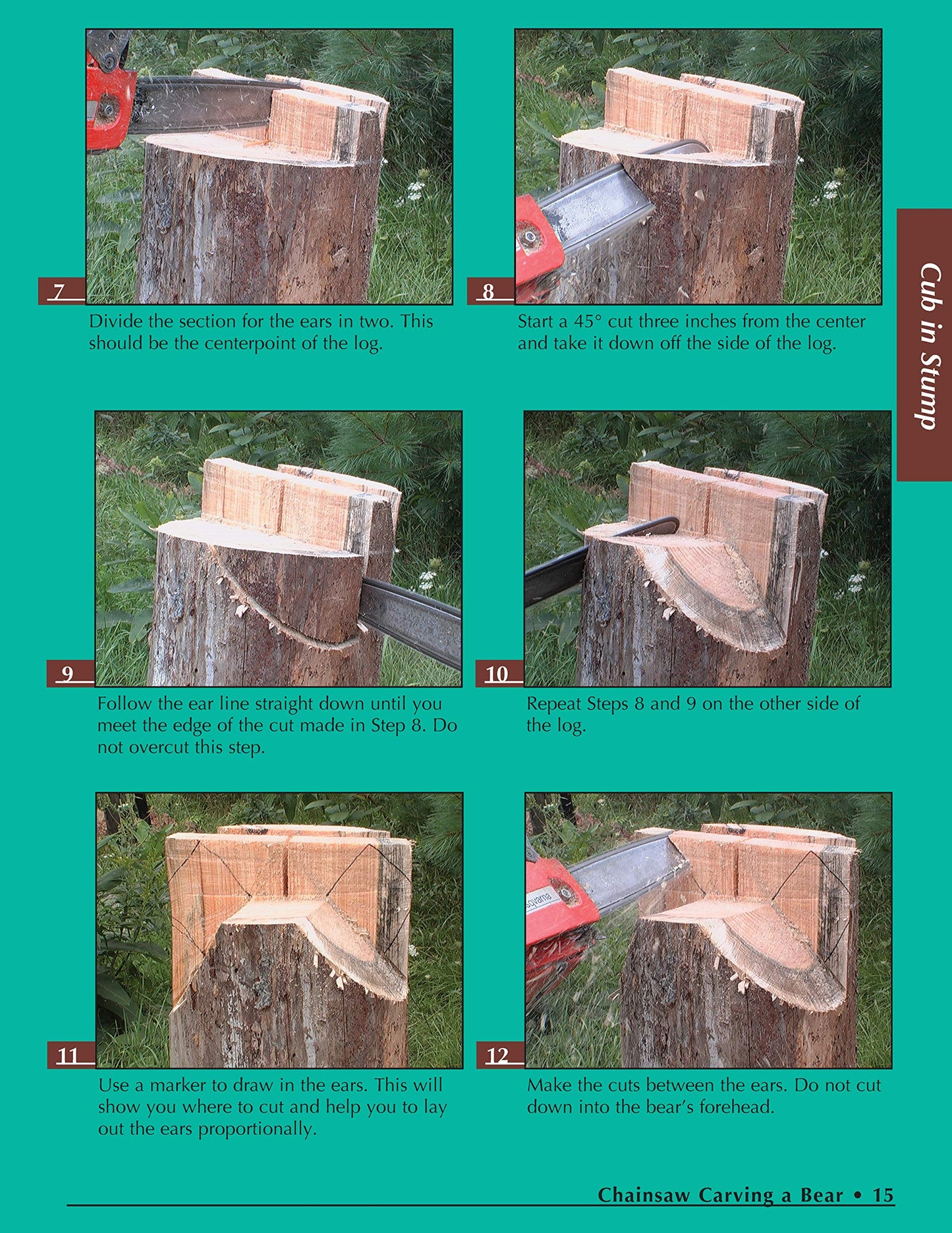 Chainsaw Carving a Bear: A Complete Step-By-Step Guide (Fox Chapel Publishing) Beginner-Friendly Details and Easy-to-Follow Illustrated Instructions for How to Carve Realistic and Caricature Bears