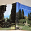 A Legacy of Excellence: The Story of Villa I Tatti