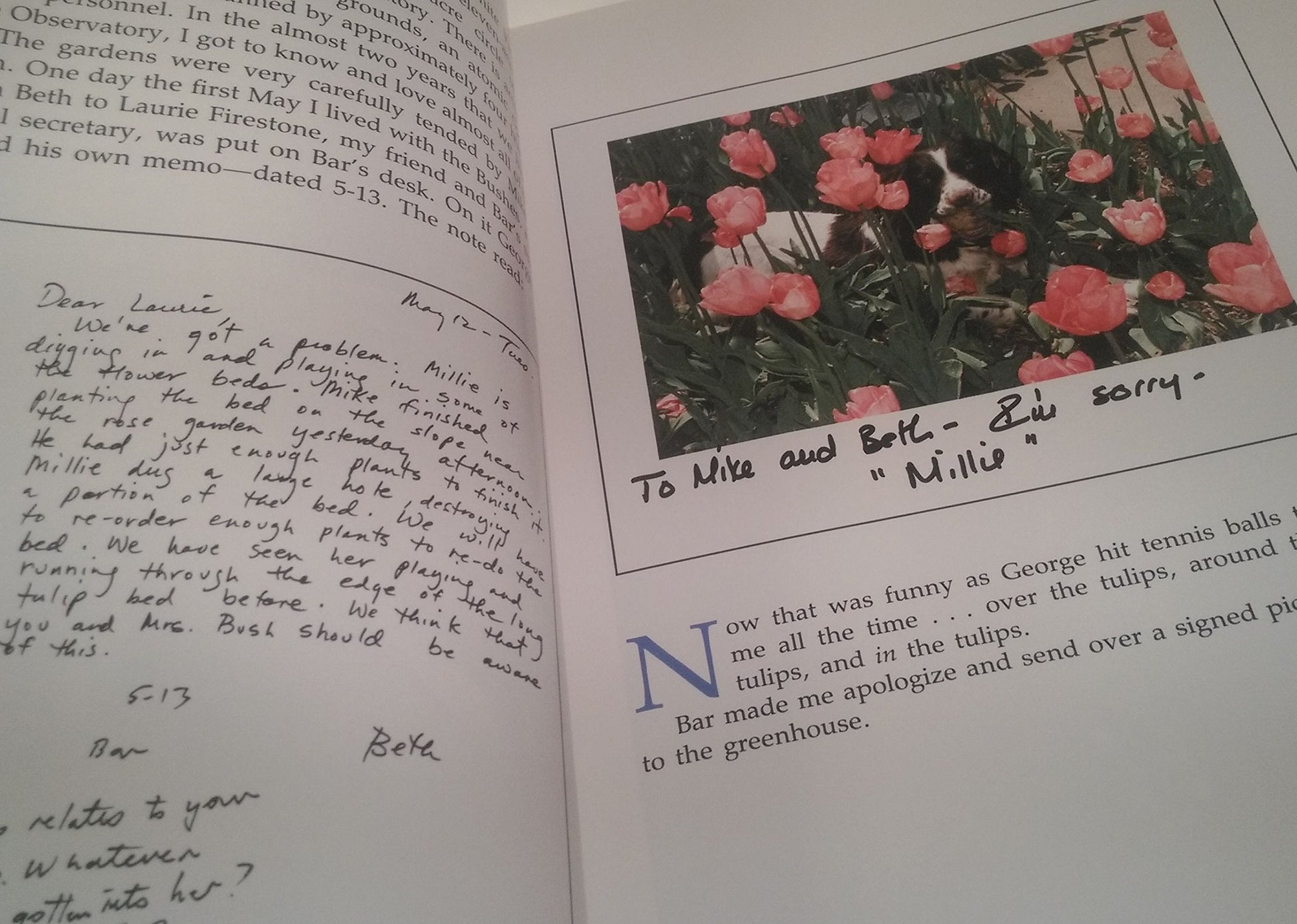 Millie's Book