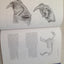 The Big Cats and Their Fossil Relatives by Antón, Mauricio