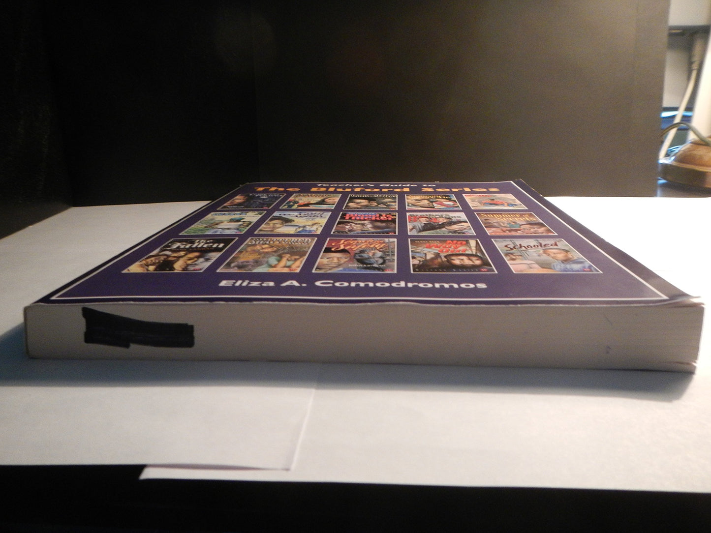 Teacher's Guide to The Bluford Series