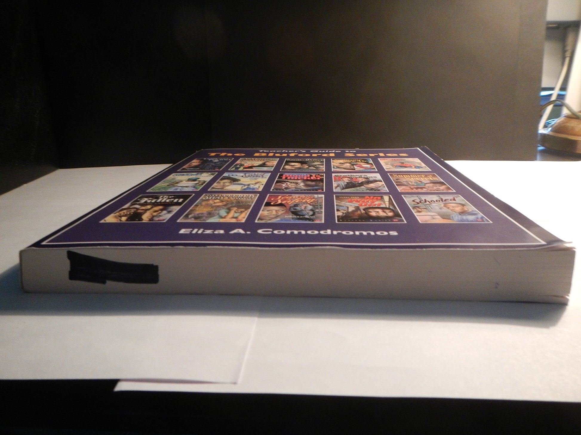Teacher's Guide to The Bluford Series