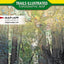 Big Basin, Santa Cruz Map (National Geographic Trails Illustrated Map, 816)