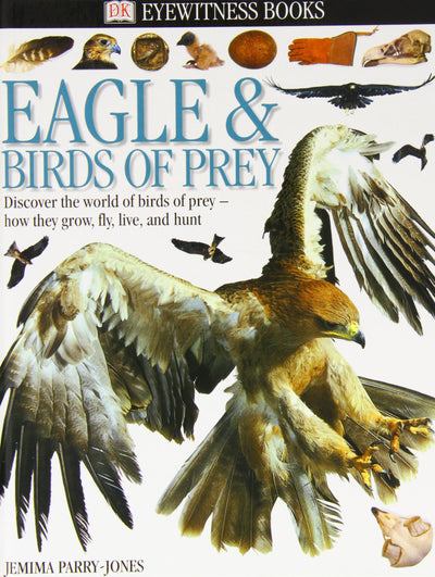 Eyewitness: Eagles & Birds of Prey