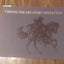 Visions: The art of Bev Doolittle ; a catalogue of published
