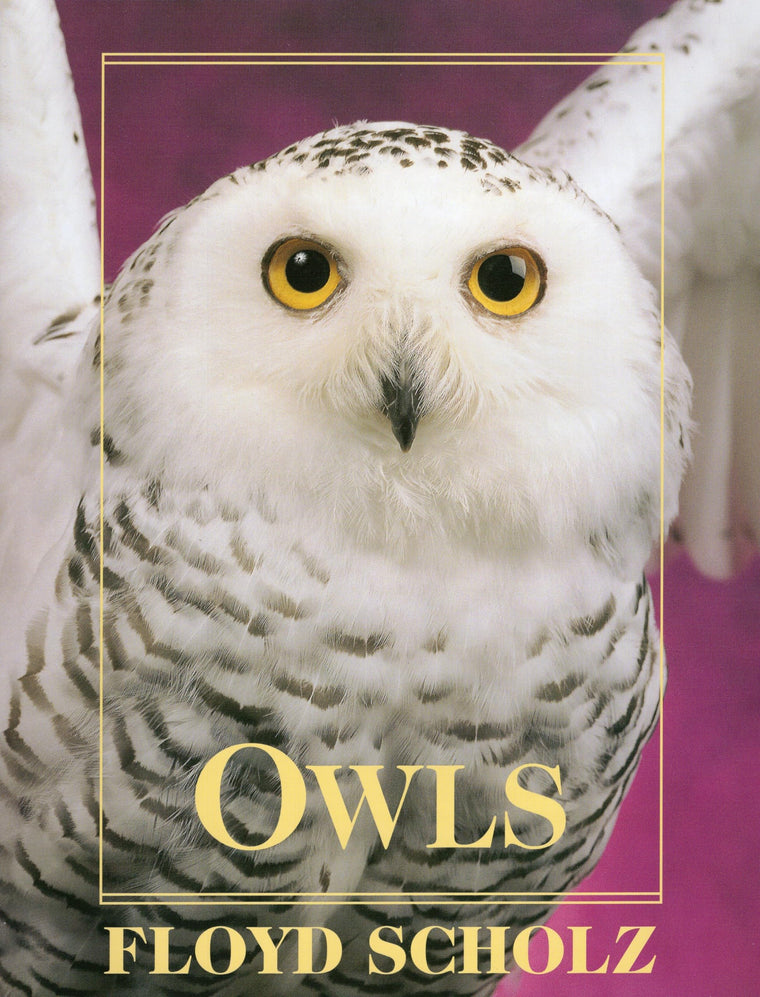Owls: An Artist's Guide to Understanding Owls