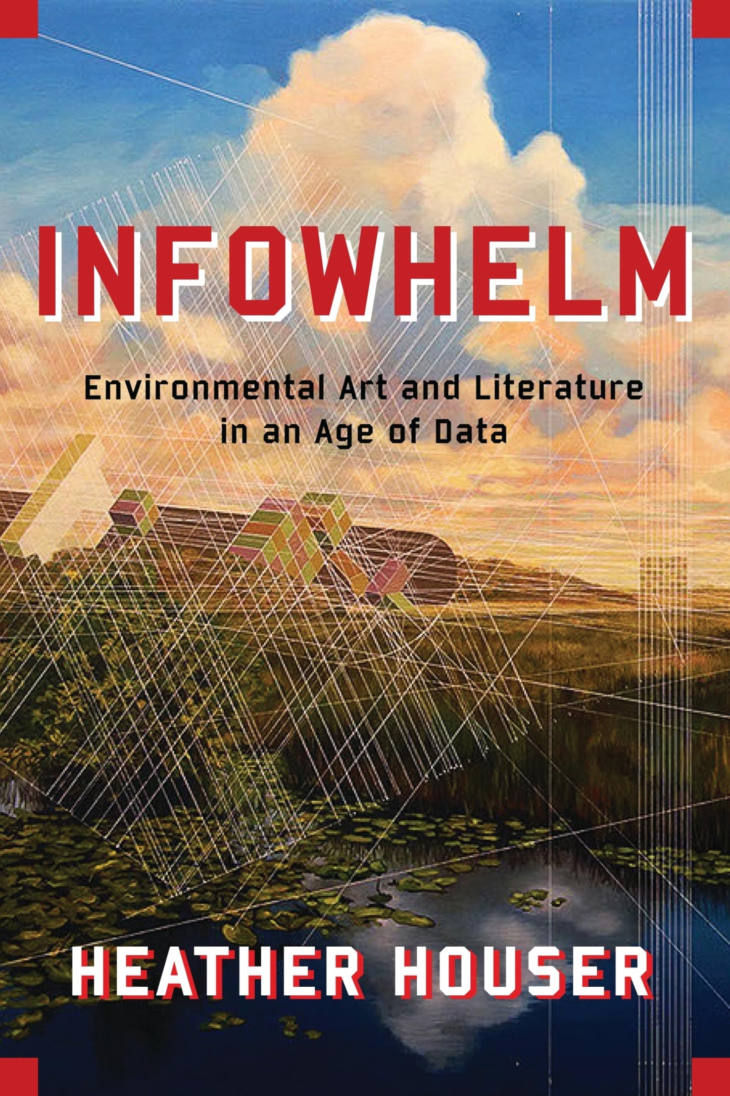 Infowhelm: Environmental Art and Literature in an Age of Data (Literature Now)