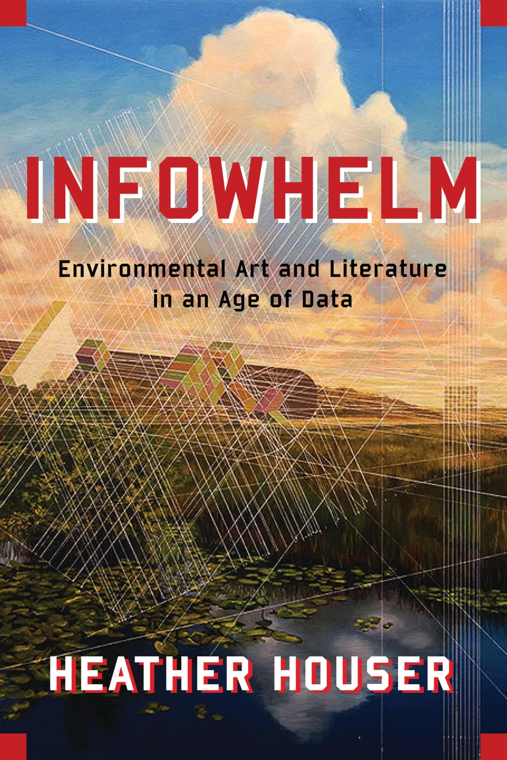 Infowhelm: Environmental Art and Literature in an Age of Data (Literature Now)