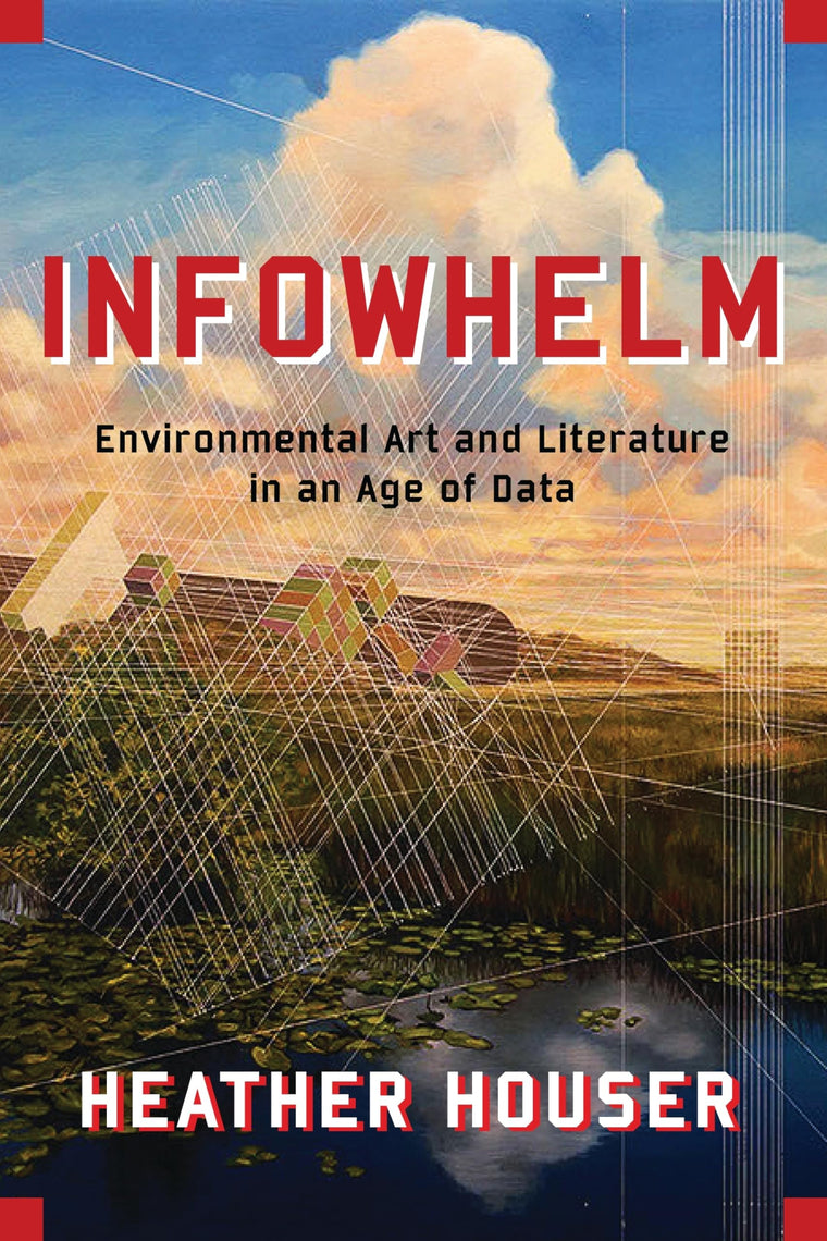 Infowhelm: Environmental Art and Literature in an Age of Data (Literature Now)