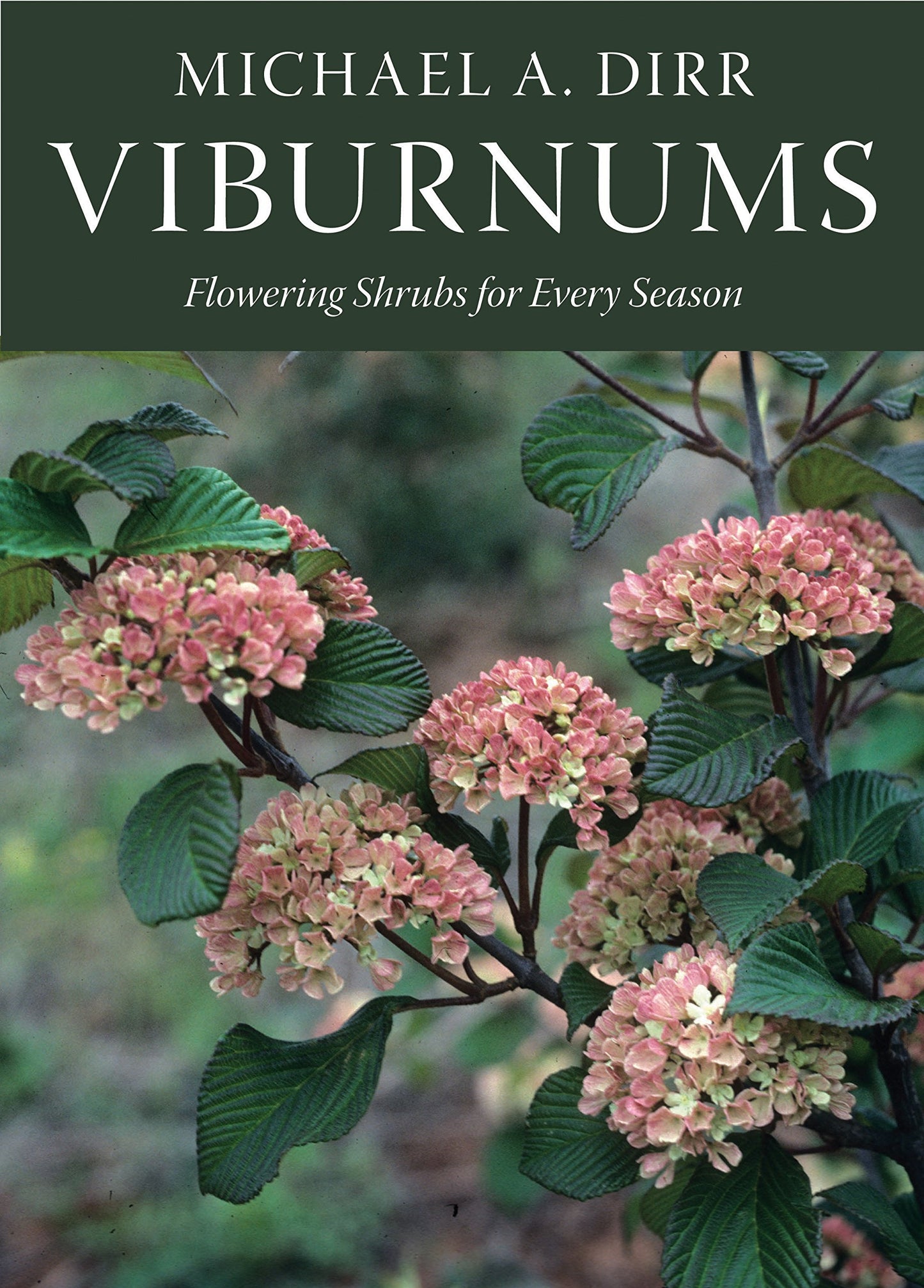 Viburnums: Flowering Shrubs for Every Season by Dirr, Michael