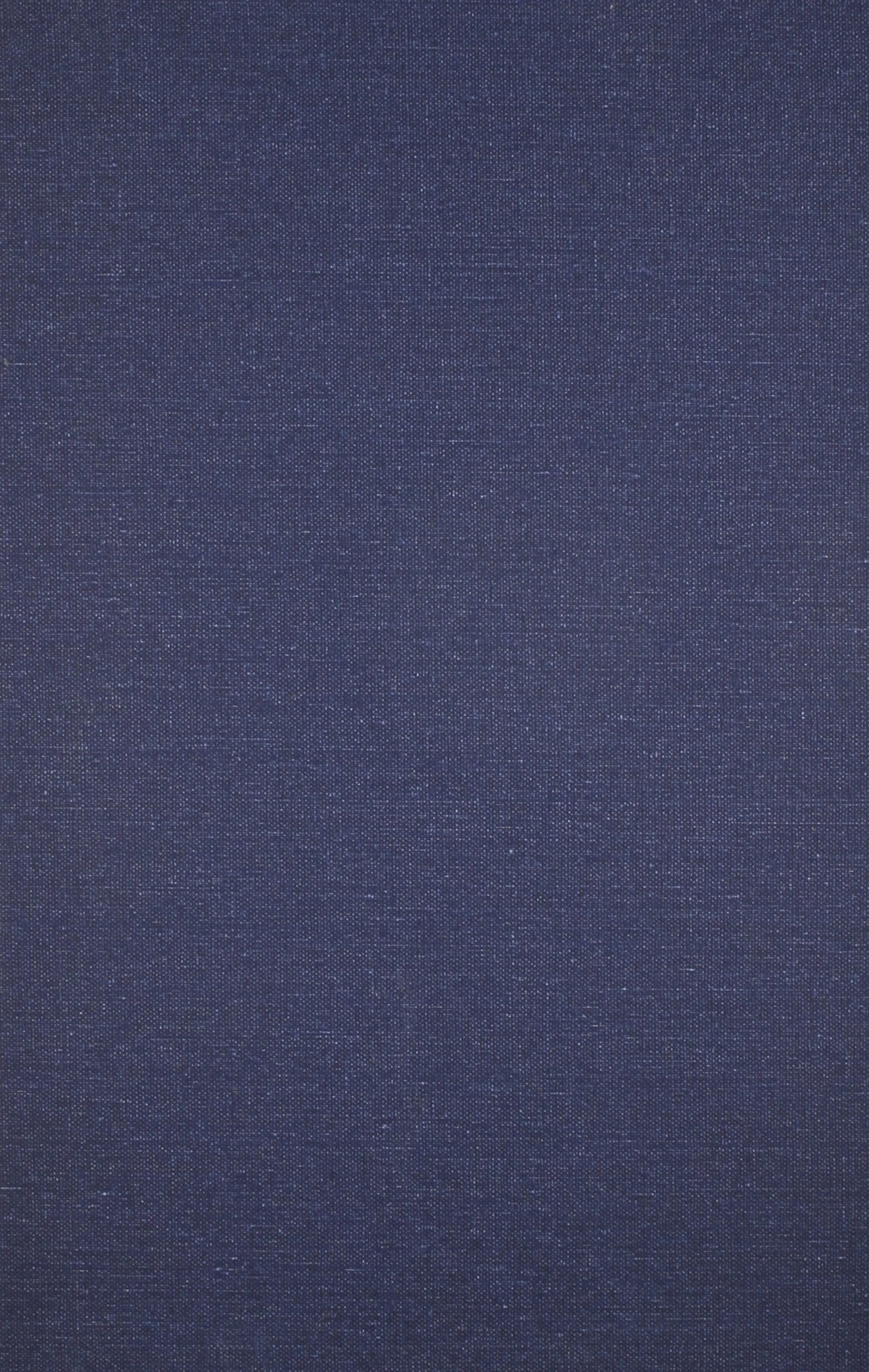 Fictional Realism in 20th Century China