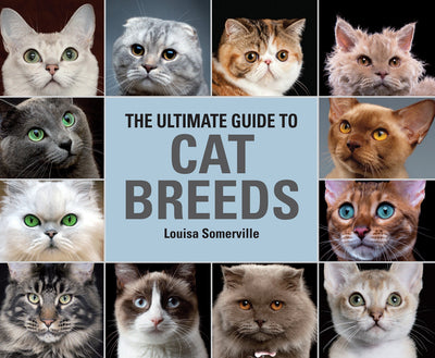 The Ultimate Guide To Cat Breeds: A useful means of identifying the cat breeds of the world and how to care for them