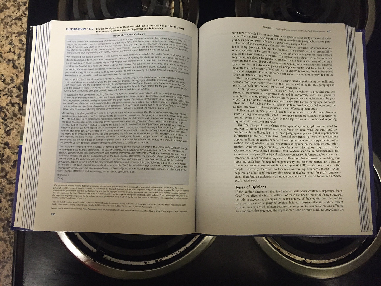 Accounting for Governmental and Nonprofit Entities