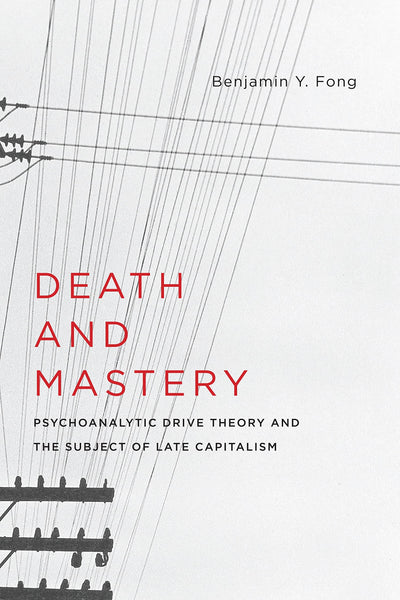 Death and Mastery: Psychoanalytic Drive Theory and the Subject of Late Capitalism (New Directions in Critical Theory, 61)