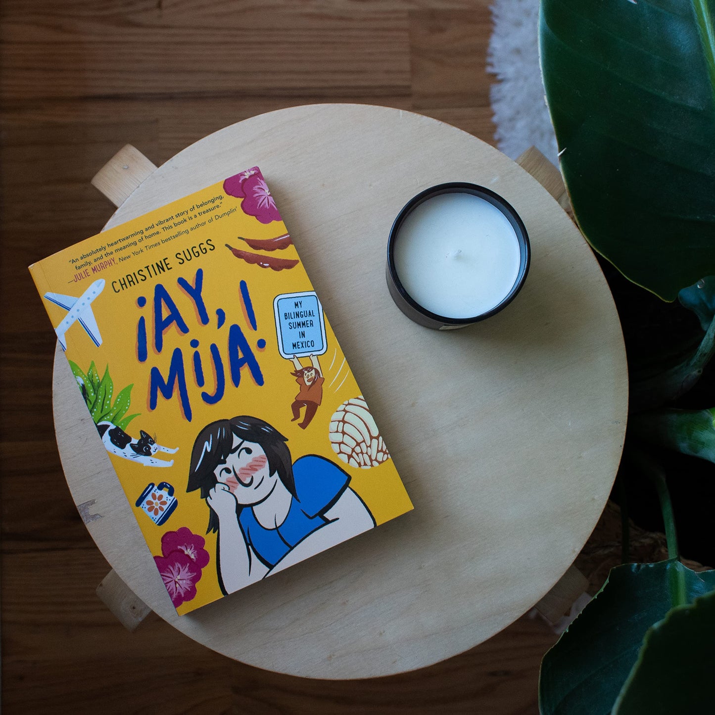Ay, Mija! (A Graphic Novel): My Bilingual Summer in Mexico (Ay, Mija!)