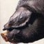 Far From The Land: Black Pig's Dyke; Language Roulette; Disco Pigs; Bat the Father, Rabbit the Son; Frank Pig; Hard to (Play Anthologies)