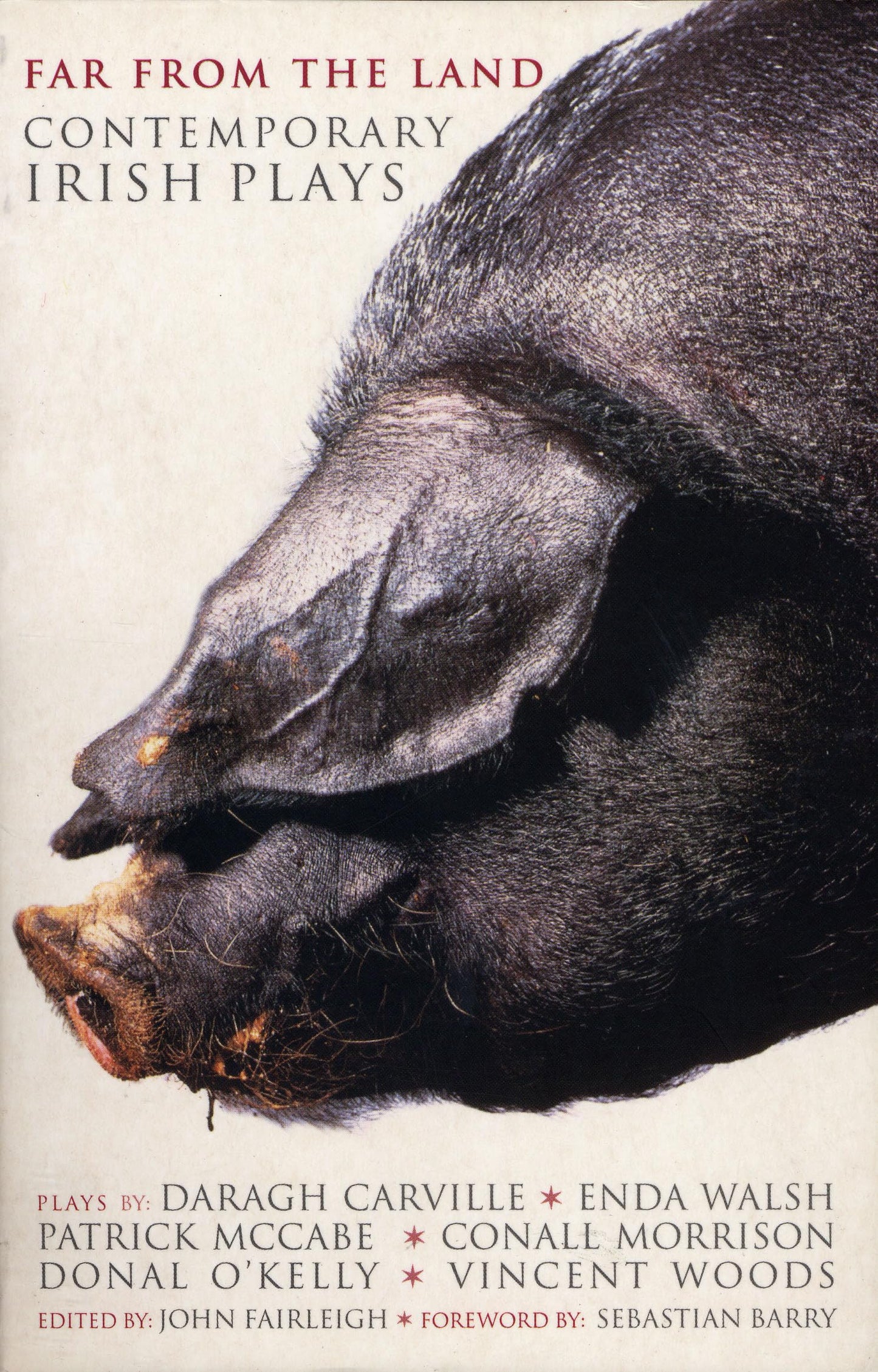 Far From The Land: Black Pig's Dyke; Language Roulette; Disco Pigs; Bat the Father, Rabbit the Son; Frank Pig; Hard to (Play Anthologies)